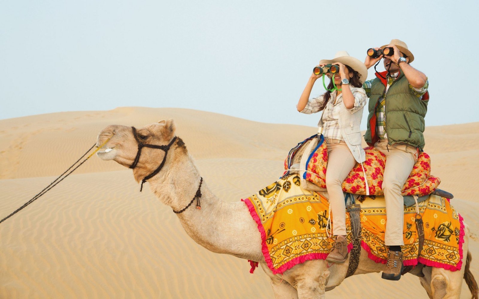 Camel Safari